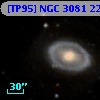 [TP95] NGC  3081  22