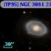 [TP95] NGC  3081  23