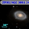 [TP95] NGC  3081  24
