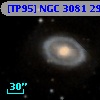 [TP95] NGC  3081  29