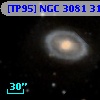 [TP95] NGC  3081  31
