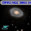 [TP95] NGC  3081  34