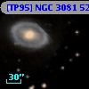 [TP95] NGC  3081  52
