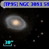 [TP95] NGC  3081  58