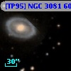 [TP95] NGC  3081  60