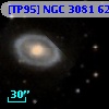 [TP95] NGC  3081  62