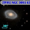[TP95] NGC  3081  63