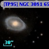 [TP95] NGC  3081  65