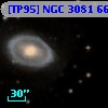 [TP95] NGC  3081  66