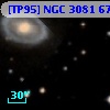 [TP95] NGC  3081  67