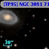 [TP95] NGC  3081  71