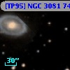 [TP95] NGC  3081  74