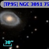 [TP95] NGC  3081  75