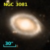 NGC  3081