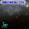 [DBL2003b] 224
