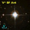 V* BF Ant