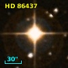 HD  86437