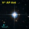V* AP Ant