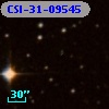 CSI-31-09545
