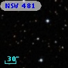 NSV   481