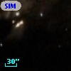 SIM 113
