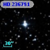 HD 236781