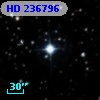 HD 236796