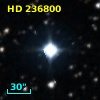 HD 236800