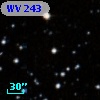 WV 243