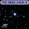 TYC 3683-1429-1