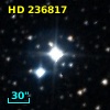 HD 236817