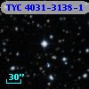 TYC 4031-3138-1