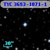 TYC 3683-1071-1