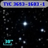 TYC 3683-1603-1