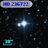 HD 236722