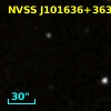 NVSS J101636+363730