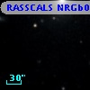 RASSCALS NRGb078