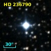 HD 236790