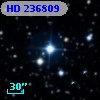 HD 236809