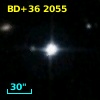 BD+36  2055