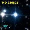 HD 236825