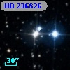 HD 236826