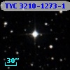 TYC 3210-1273-1