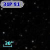 31P 81