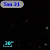 Ton  31