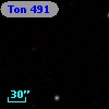 Ton  491