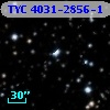 TYC 4031-2856-1