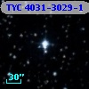 TYC 4031-3029-1
