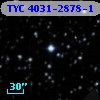 TYC 4031-2878-1