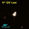 V* GV Leo